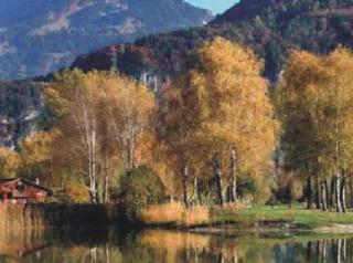 Hotel Alpenblick