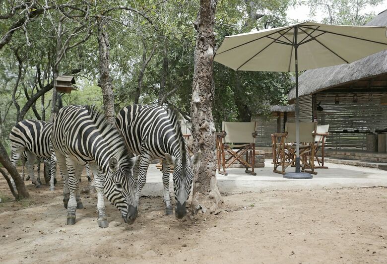 Tusk Bush Lodge
