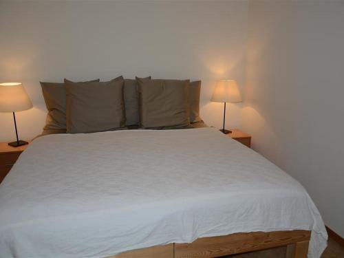 Apartment Scapa