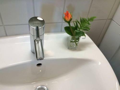Apartment Houb�