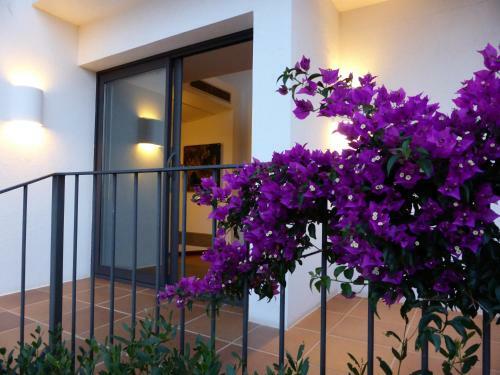 Hotel Sol Ixent