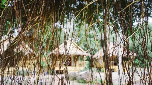 Hostal Yanui Beach Hideaway