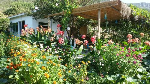 Askim Pension