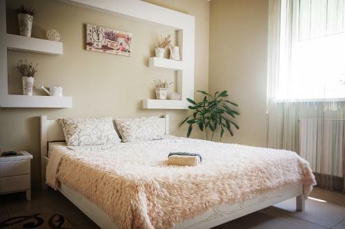 Motel Avto Spa
