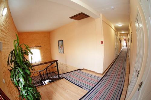 Bed & Breakfast Star Hotel