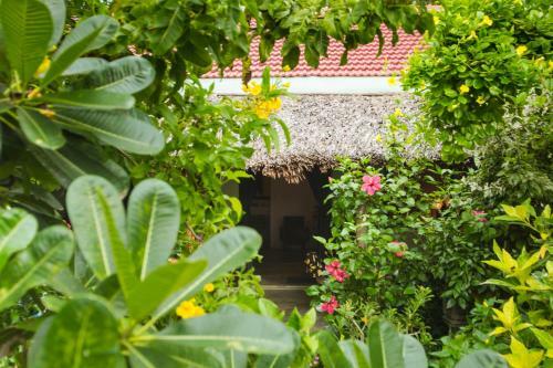 An Bang Purple Homestay