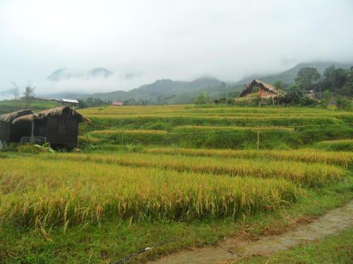 Tavan Nature Homestay
