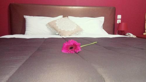 Hotel King