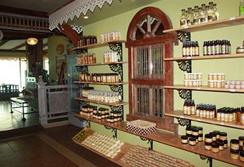 Hotel Bohol Bee Farm