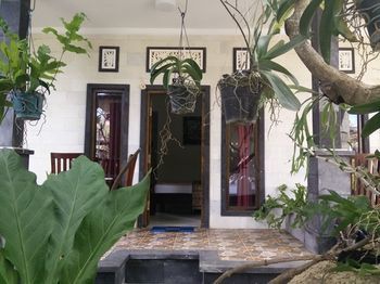 Hotel Double N Guesthouse
