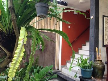 Hotel Double N Guesthouse