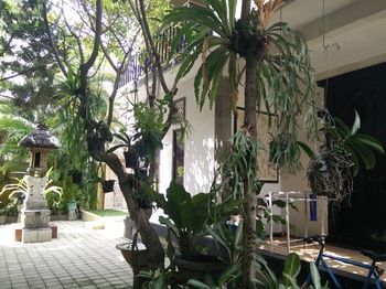 Hotel Double N Guesthouse