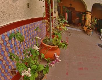Hotel Espa�a Cuernavaca