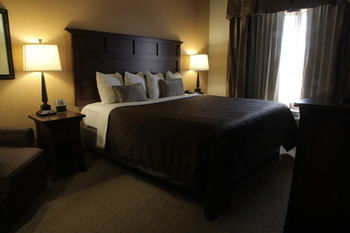Hotel Teddy's Residential Suites New Town