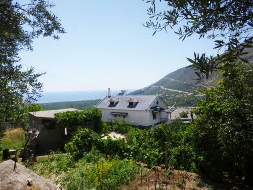 Apartamentos Vila Altini Borsh
