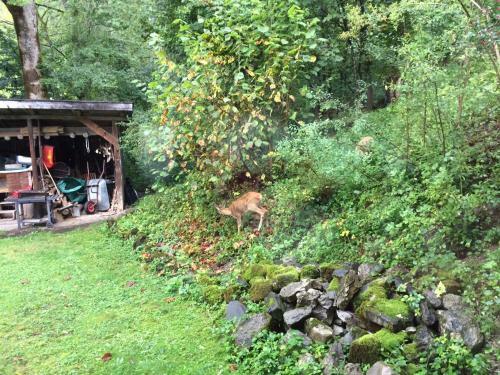 Ferienhaus Bad Hindelang