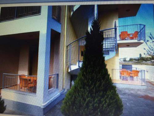 Apartments Velipoja