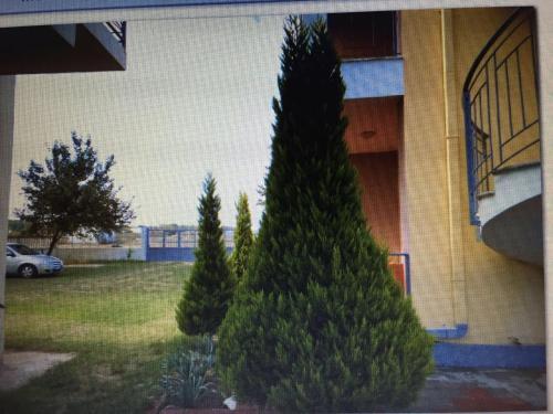 Apartments Velipoja
