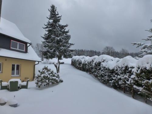 Hostal G�stehaus Harzgl�ck