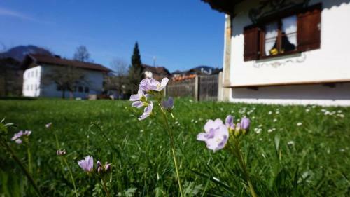 Apartamentos Landhaus Pichler