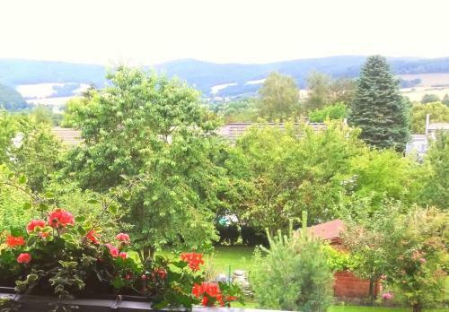Hostal Caf� & Pension Meine Sonne ... Sole Mio