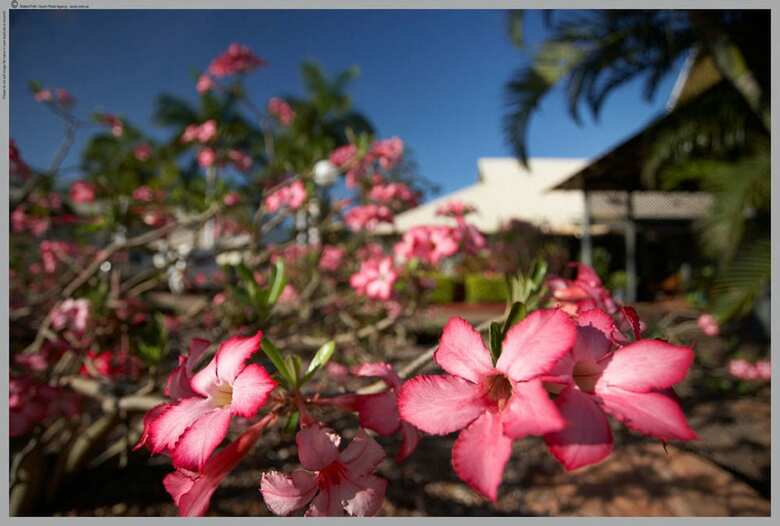 Hotel Seashells Resort Broome