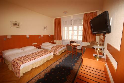 Bed & Breakfast Continental Hotel-pension