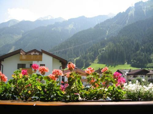 Hostal Haus Bergfriede