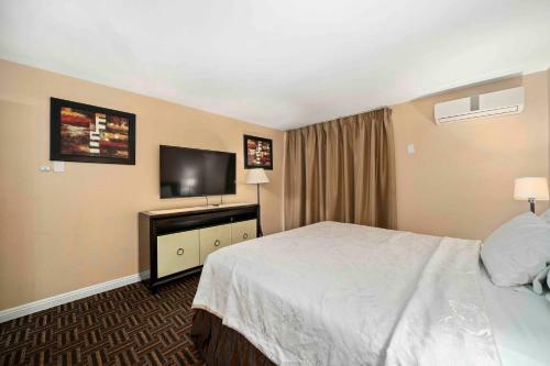 Lemon Tree Hotel