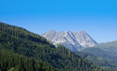 Hostal Gasthof Pension Mitterhof