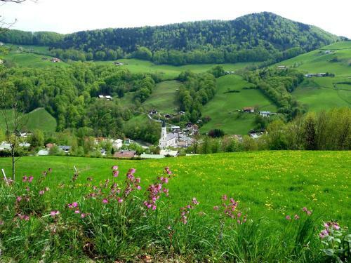 Apartamento Bauernhof Steinlehen