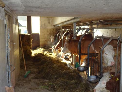 Apartamento Bauernhof Steinlehen