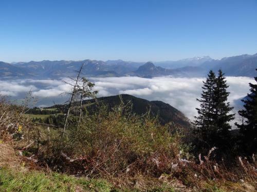 Apartamento Bauernhof Steinlehen