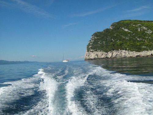 Adriatic Apartment Neum