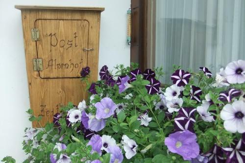 Bed & Breakfast Pension Alpenhof