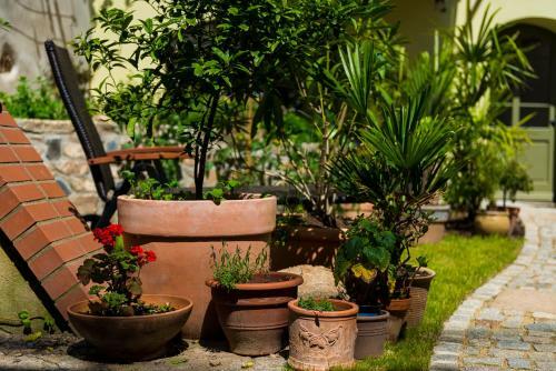 Apartamento Appart.bog2 G�rlitz
