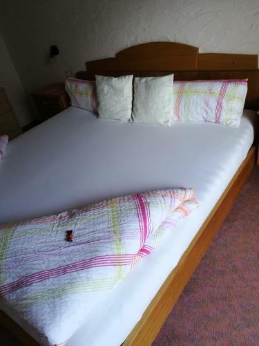Hostal G�stepension Wiesenheim