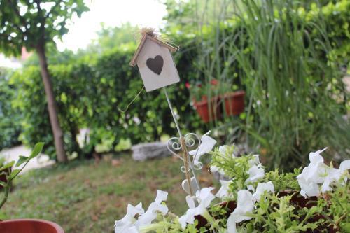 Hostal Guest House No 9