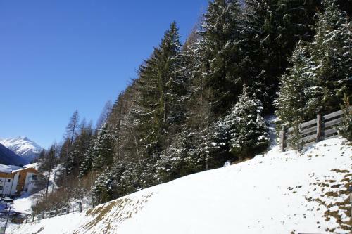 Apartamento Alpinea Appartements