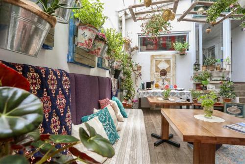 Hostal Eshe Boutique Hotel