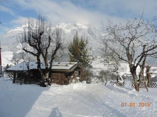 Bed & Breakfast Pfindlhof