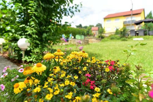 Apartamento Ferienwohnung Hannweber