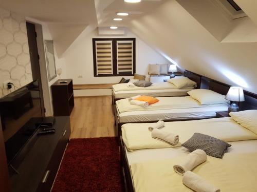 Hostal Pansion River