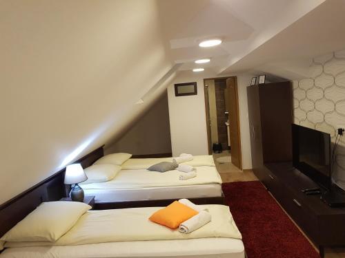 Hostal Pansion River