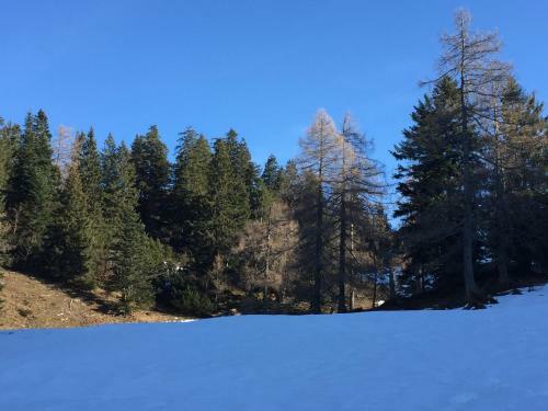 Apartamento Schipplegg