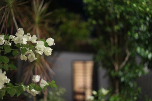 Darwin City B&B