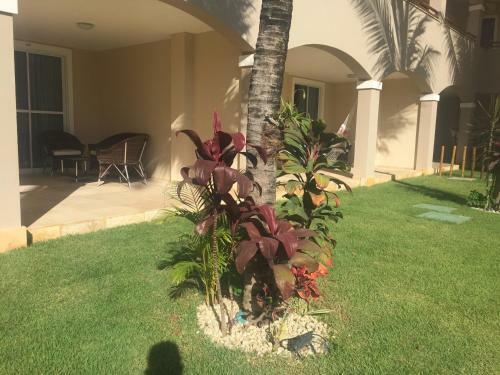 Kite Apartment Cumbuco