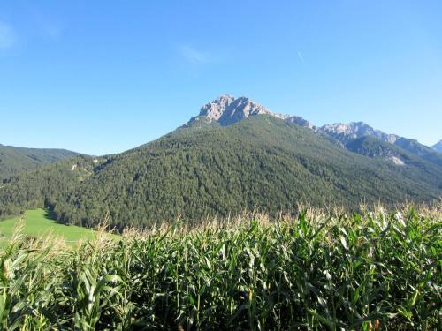 Apartamento Landsitz Bichlhof