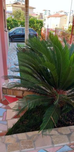 Apartamento Hotel Alexis