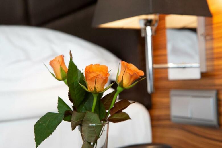 Art Hotel William